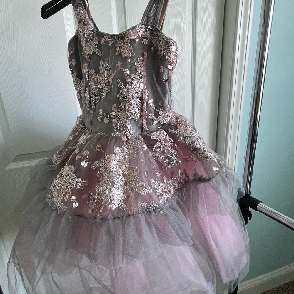 Revolution Pink and Gray Floral Tulle Dress Costume